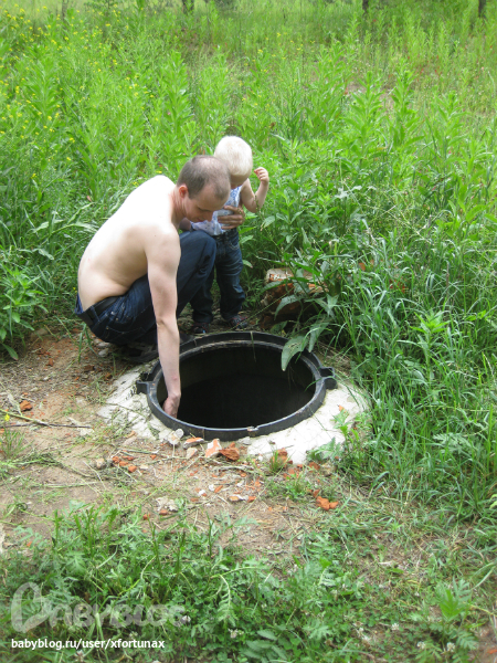 Прогулка в бору.