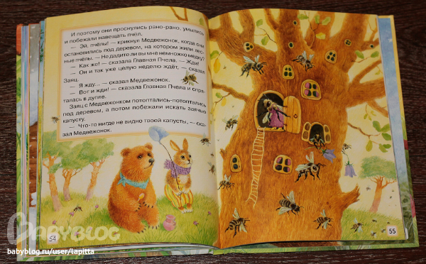 Книжные полки пополнились подарками