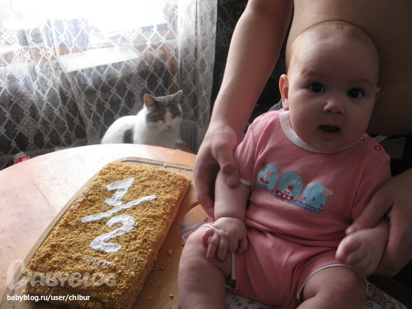 6 месяцев