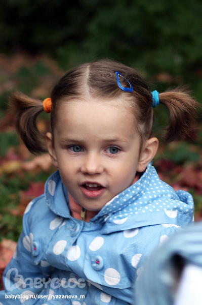 Осенняя рапсодия