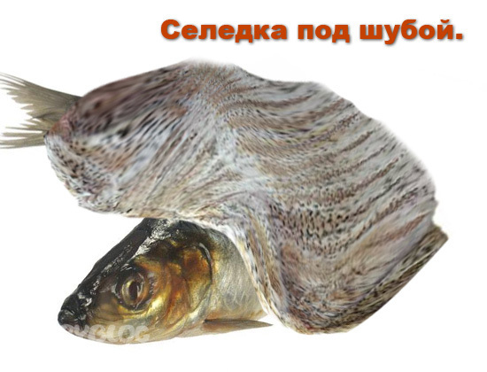 Рыба в шубе картинка