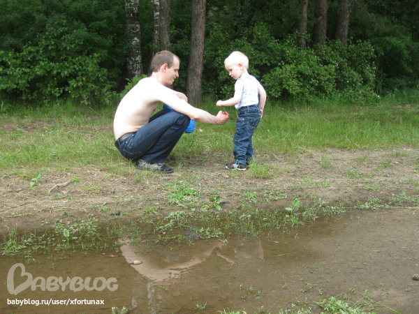 Прогулка в бору.