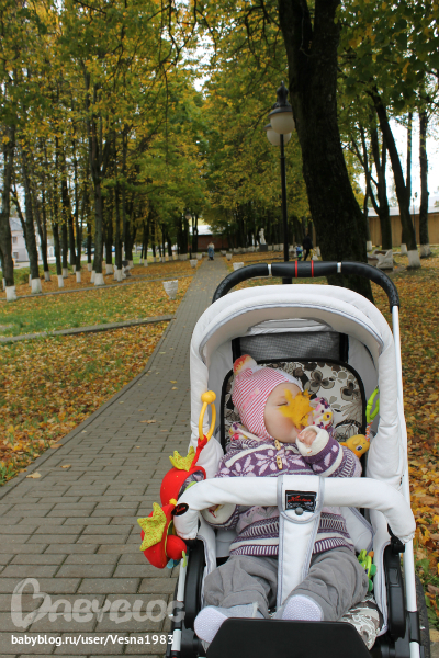 Наша первая осень