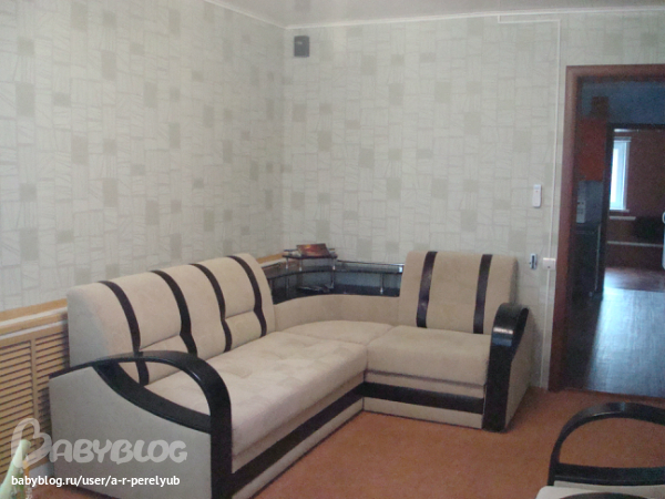 Помогите оформить 2 окна в зале.