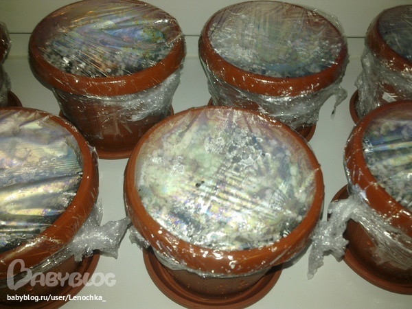 Привет, Адешечки!