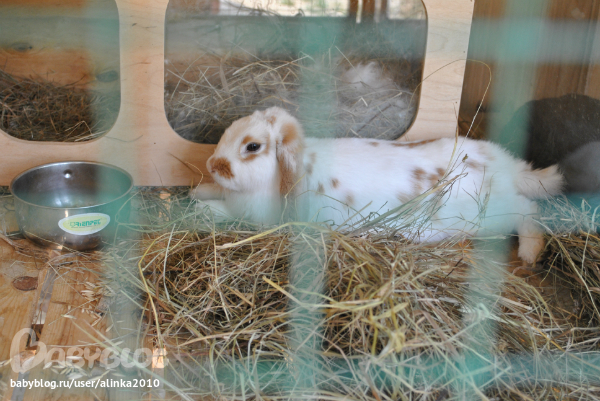 Лерочка, с ДНЁМ РОЖДЕНИЯ тебя!!!!!!