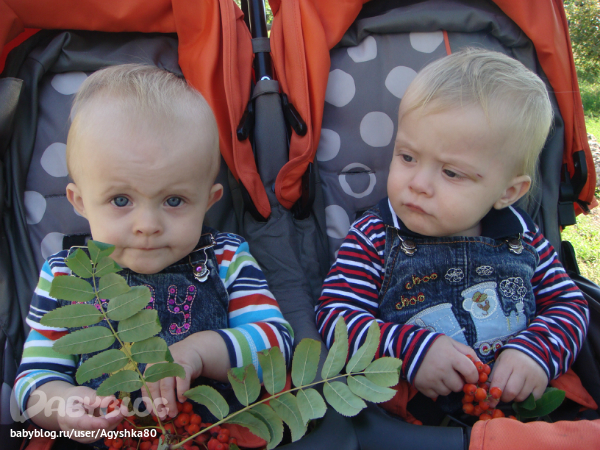 Наша осень...