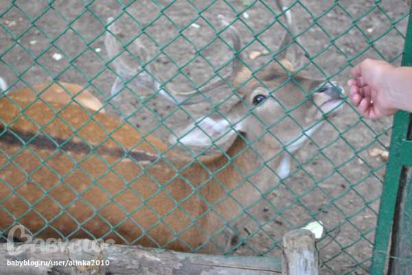 Лерочка, с ДНЁМ РОЖДЕНИЯ тебя!!!!!!