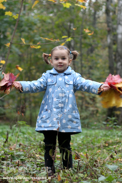 Осенняя рапсодия