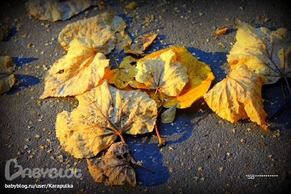950ead0c8848b5388e996963ce84d4b3.jpg