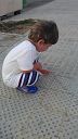 -во,во,мулали,мулали!(муравьи))