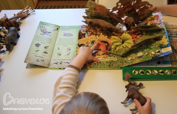 Любимое малышковое, или что мы читаем.