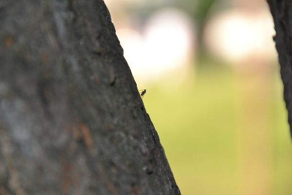 a5d8801d8894d455c94f6b3545d74f03.jpg