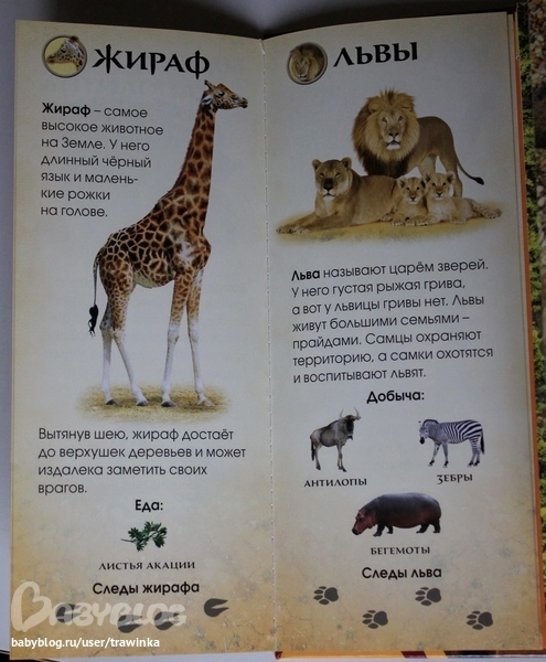 Любимое малышковое, или что мы читаем.