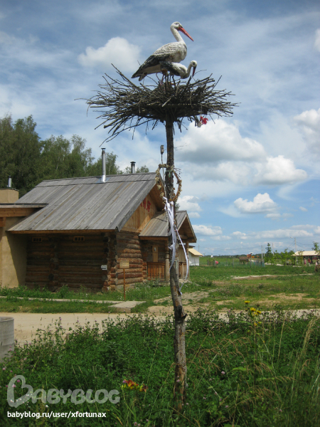 Поездка в Этно Мир.