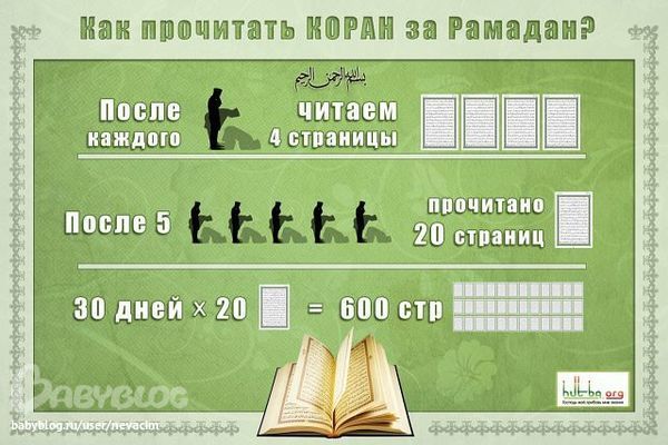 Сколько страниц в на дне