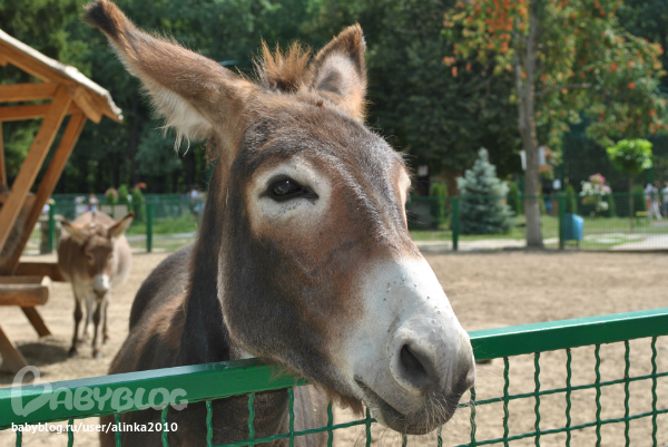 Лерочка, с ДНЁМ РОЖДЕНИЯ тебя!!!!!!