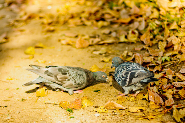Первая съемка