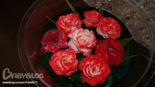 b8dbff621cf352d31423b81a24fddae7.jpg
