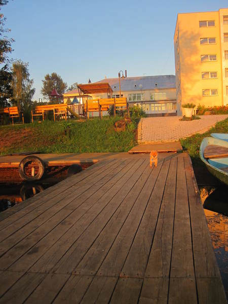 c0aa4cea77dde6cc75460fdd2c12580e.jpg
