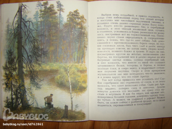 Арктур гончий пес план пересказа