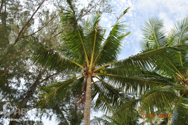Пляж Три Транг на Пхукете (июль)
