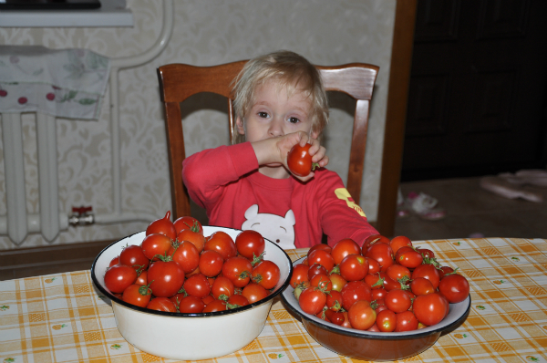 Здравствуй Осень