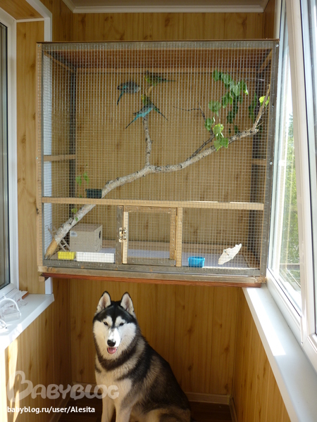 А вот и мой...