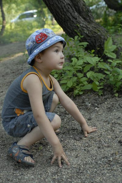 d09852b08c2cc191f7976180295e79df.jpg
