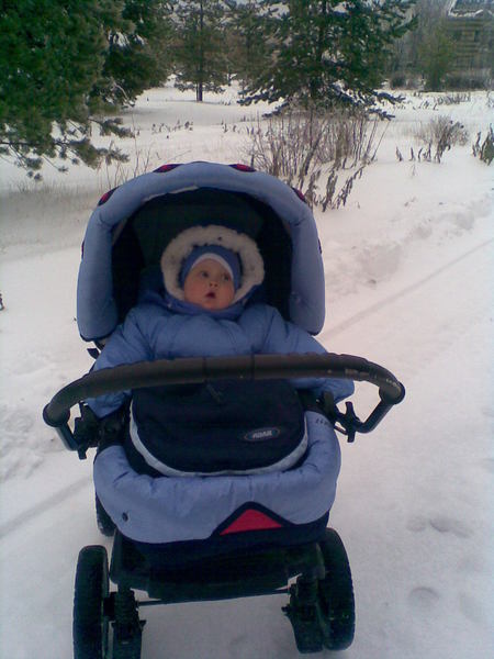 Пришла зима! 1 декабря 2012 года.