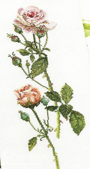dc882d63ca7e575949b2fdf78ab45dc9.jpg