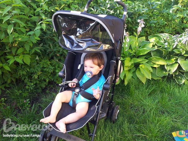 Целый год прошел...