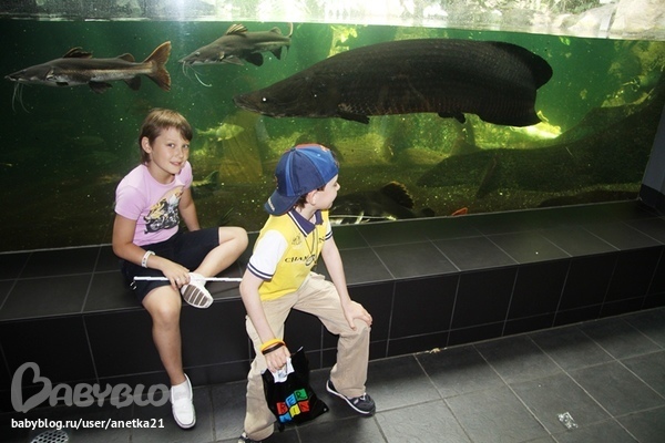 На авто по Европе с детками. часть 1