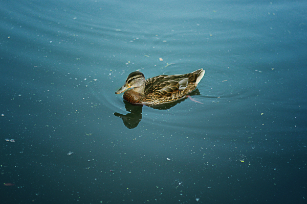 Прогулка на катере.