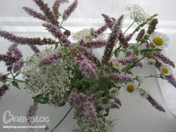 ecdd7d2c7f82f469bbccc0c2b2ad3c58.jpg