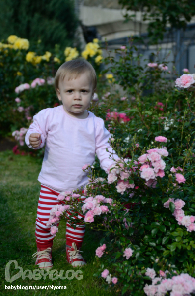 eeed60d1e1c27a14ae8264d8ec74c2eb.jpg