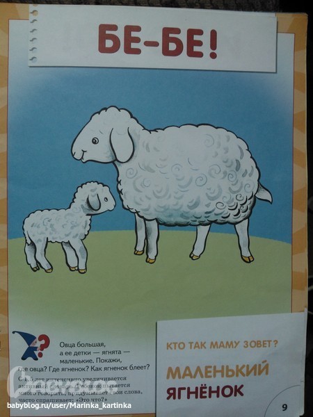 Как говорит баран. Книжки про овец для детей. Баран говорит бе. Как говорит Овечка.