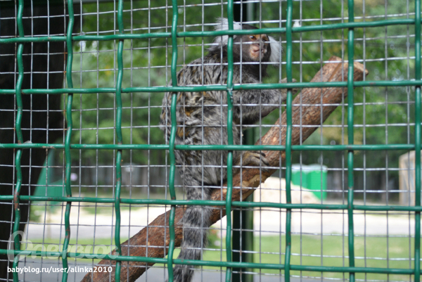 Лерочка, с ДНЁМ РОЖДЕНИЯ тебя!!!!!!