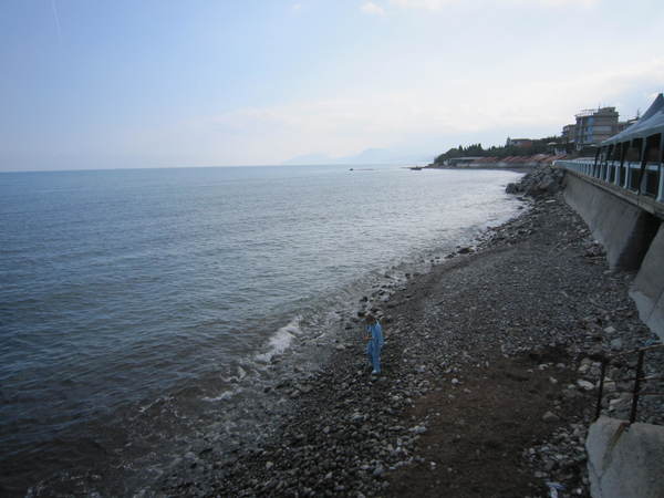 f9d088871ab309b8146899fbea6c0215.jpg