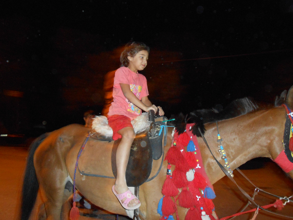 9576be1c862c0137db126228eb82e35a.jpg