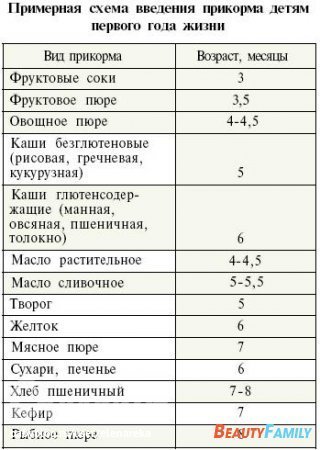 Правила введения прикорма с целью перевода на общий стол