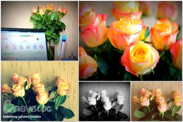 bb0cfe846ffa44772f623b60abf8cfb7.jpg
