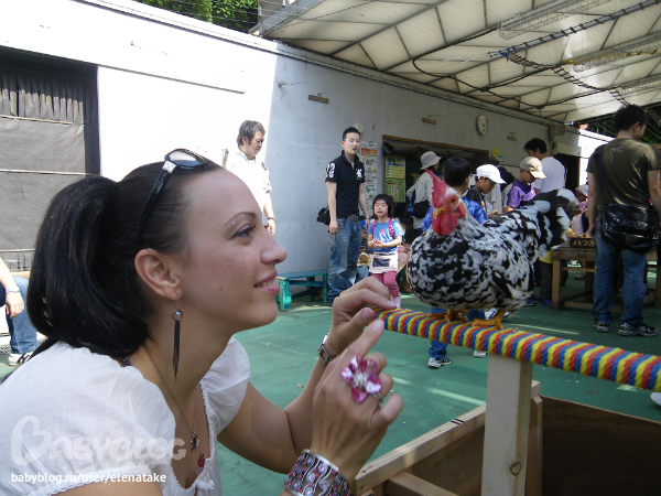 Зоопарк 2011