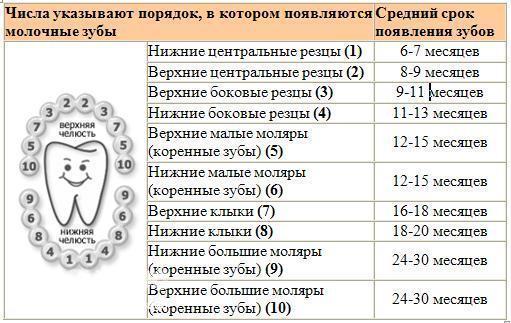 СХЕМА ЗУБОК (для себя)