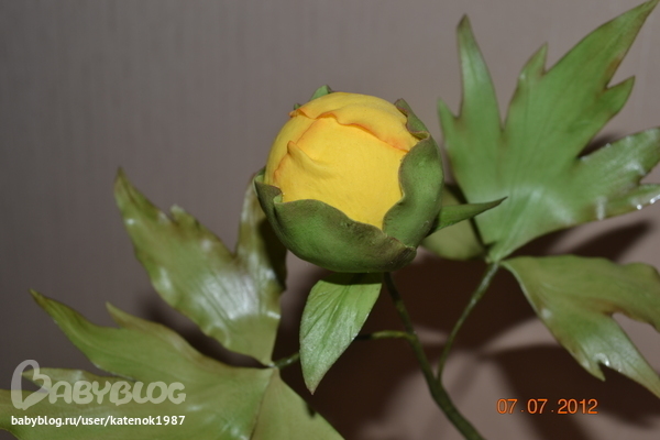 eb6ab12d78788e006a4fbaf07d5cb2d3.jpg