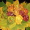 85b569a6724d2eab6d731a724a755325.jpg