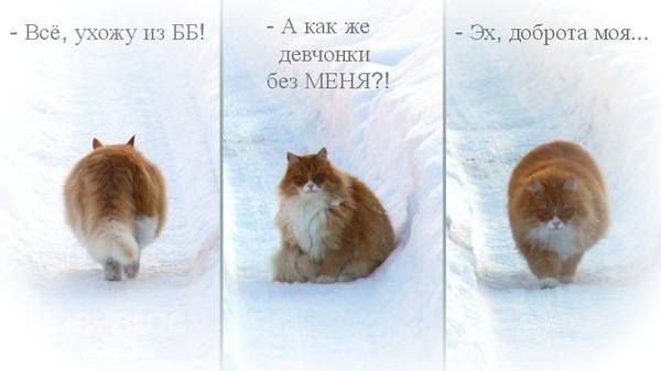 Остаюсь)