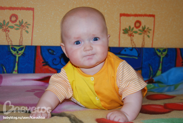 0233e3bfb9f72aab521a17db246fc389.jpg