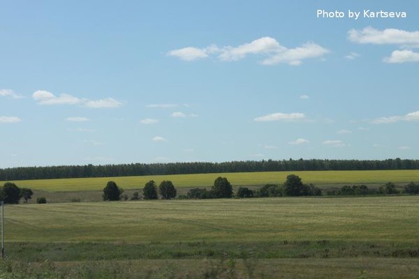 Находки с куликова поля фото