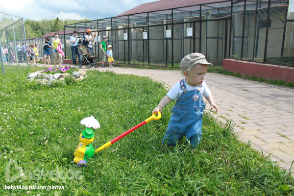 Фото детей в парке летом